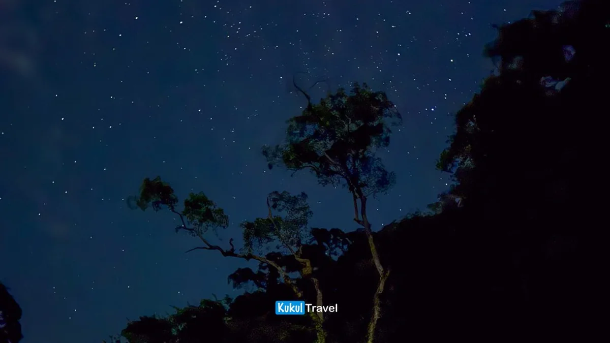 Cielo estrellado sobre el bosque de montaña en la Reserva de la Biosfera "El Cielo"
