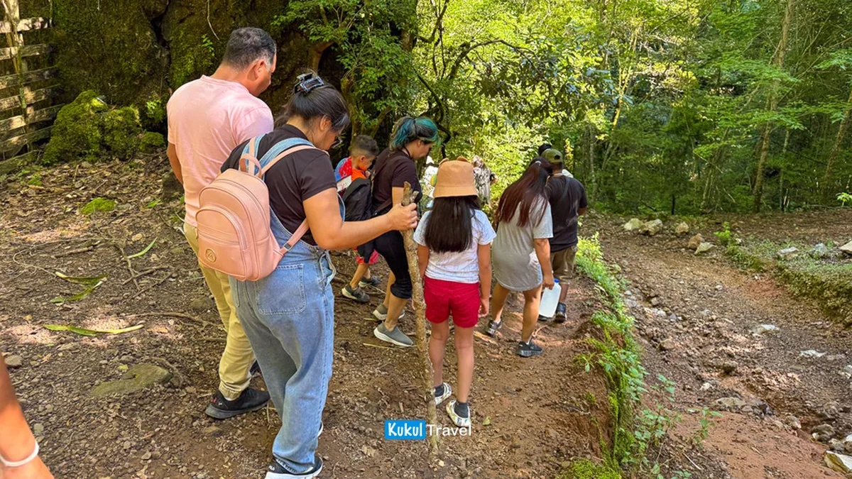 Grupo caminando por un sendero entre vegetación en la Reserva de la Biosfera "El Cielo"