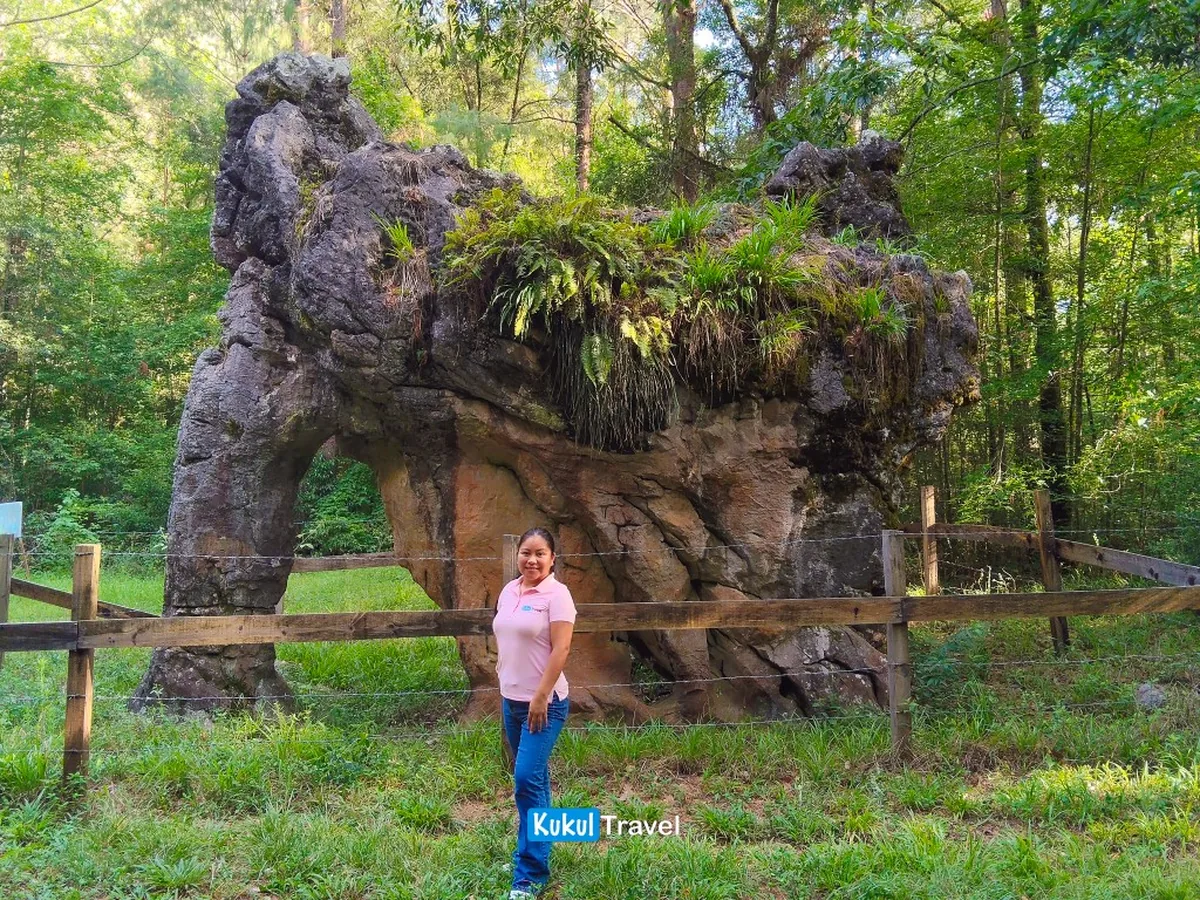 Formación rocosa y bosque en ruta profunda de la Biosfera "El Cielo", referencia de Piedra del Elefante