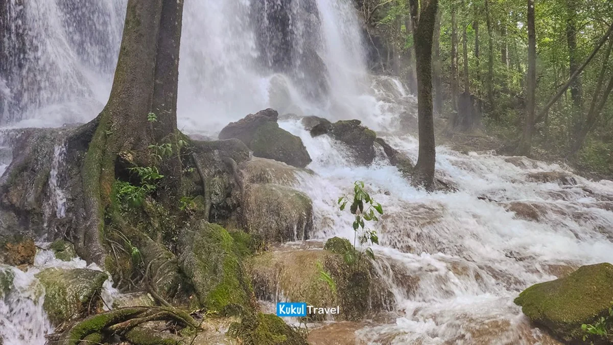 Cascada y bosque en zona profunda de la Biosfera "El Cielo", referencia visual de Joya de Manantiales